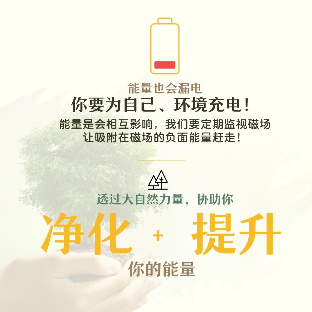 EnergyCodes - Purify Energy Pure Essential Oil 净化.提升
