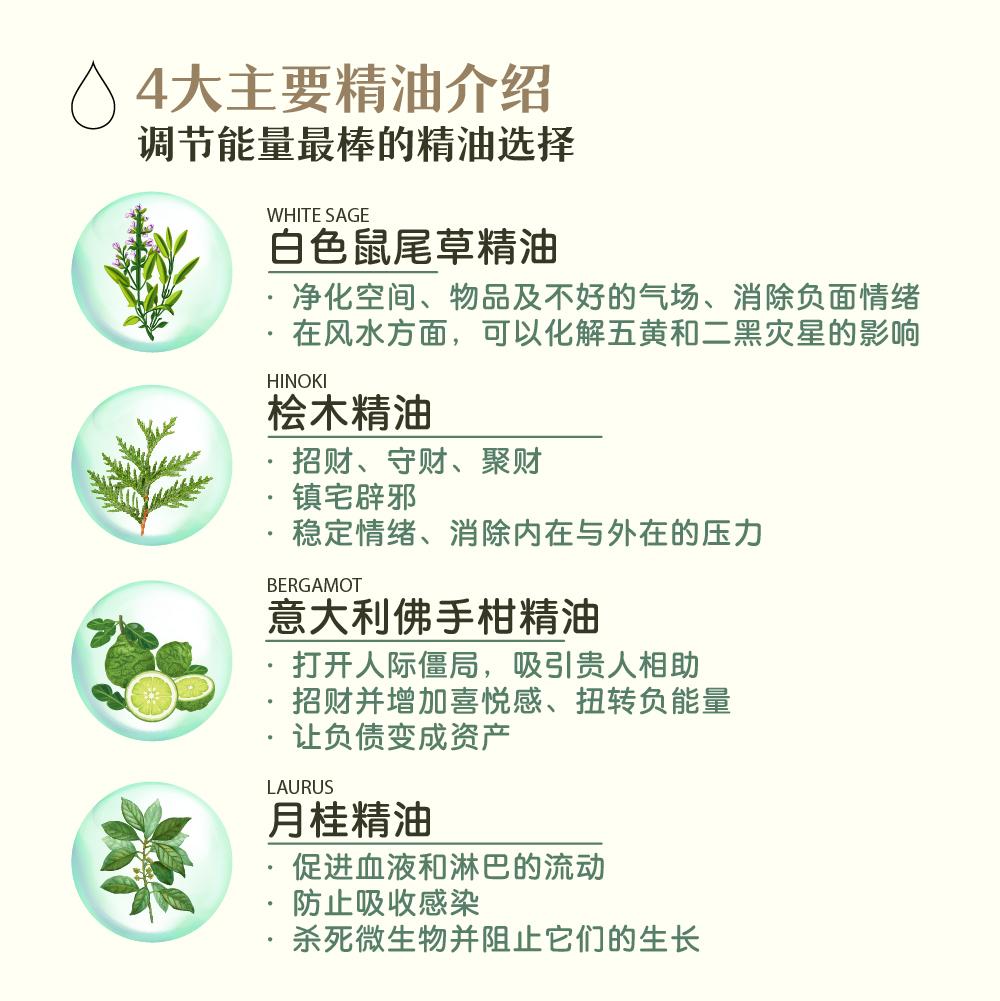 EnergyCodes - Purify Energy Pure Essential Oil 净化.提升