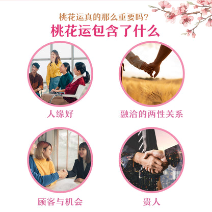 EnergyCodes - Blossom Charmer Massage Essential Oil 金桃喜