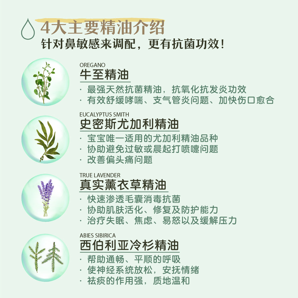 EnergyCodes - NasalEase Massage Essential Oil 舒鼻畅