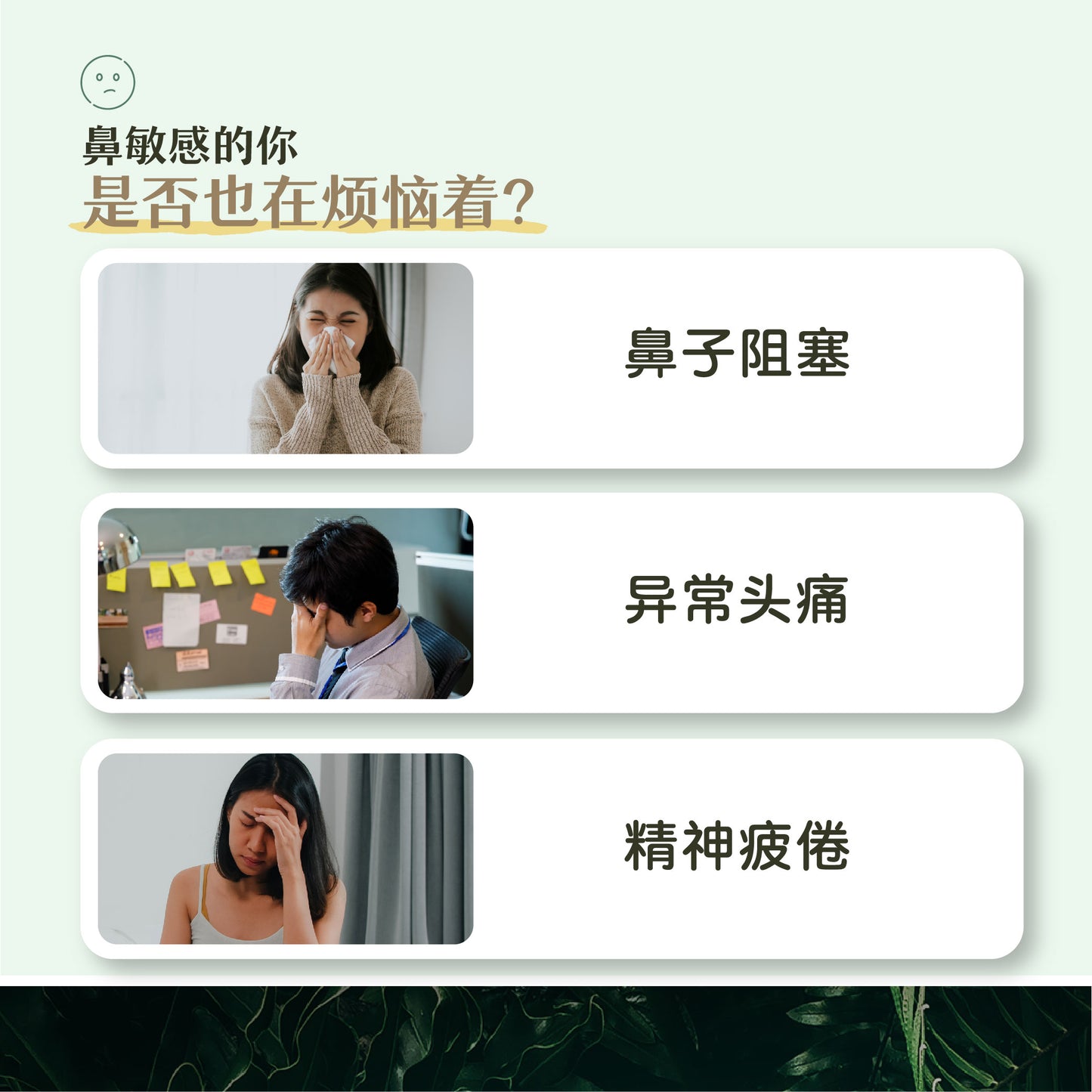 EnergyCodes - NasalEase Massage Essential Oil 舒鼻畅