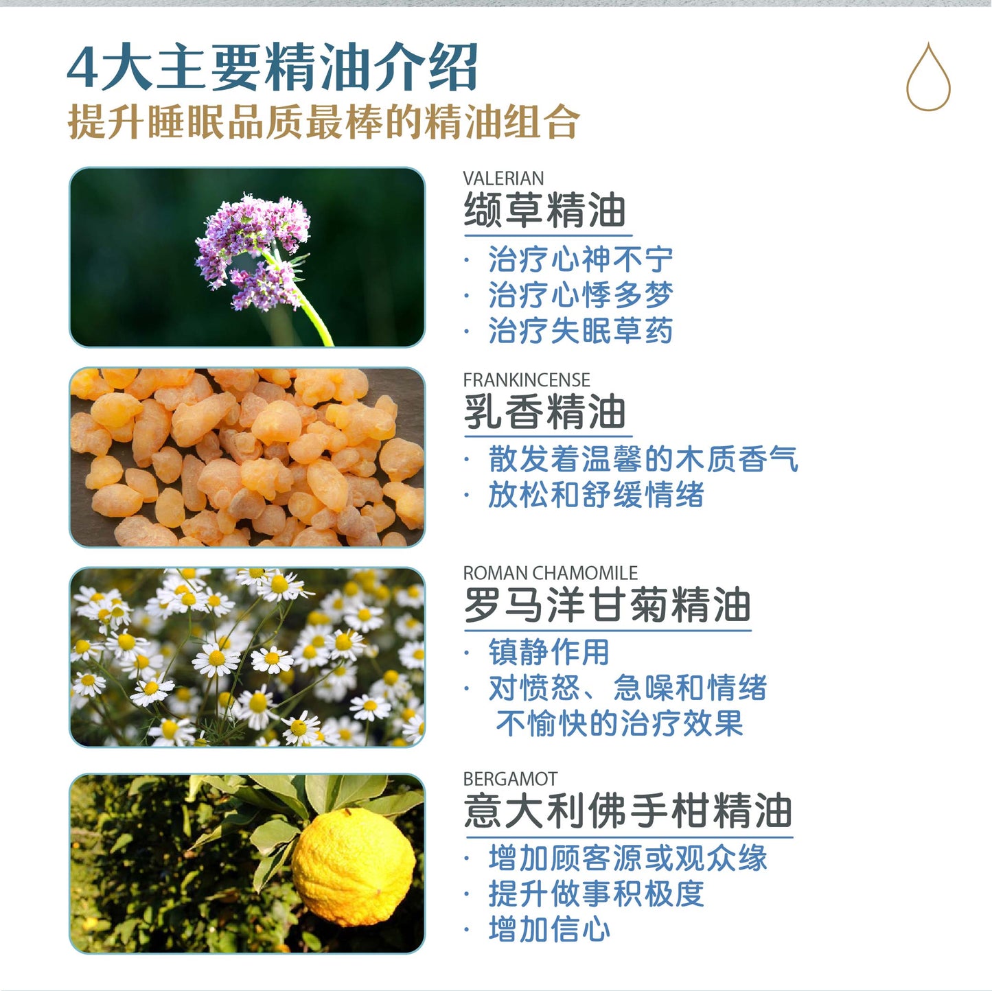 EnergyCodes - Sleep Well Pure Essential Oil 金好睡
